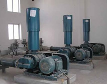 罗茨风机客户_沧州电厂项目 罗茨风机客户_沧州电厂项目